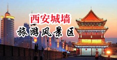 操骚逼网站免费看中国陕西-西安城墙旅游风景区